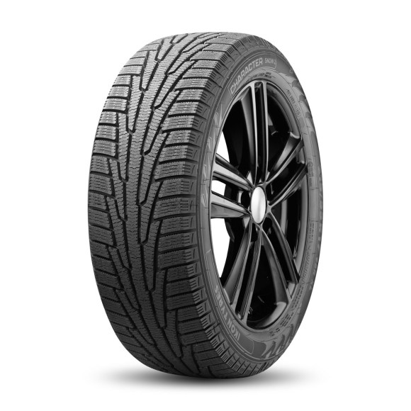 Шины Ikon 175/65 r15 Character Snow 2 (Nordman RS2) 88R