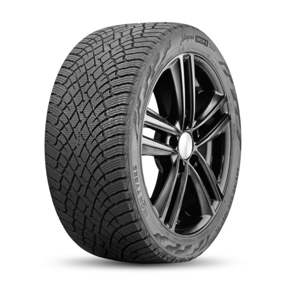 Шины Ikon 255/55 r19 Autograph Snow 5 SUV 111R