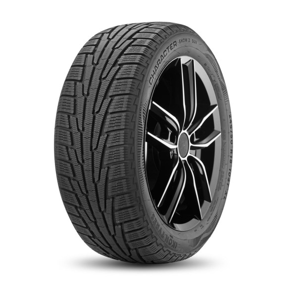 Шины Ikon 265/65 r17 Character Snow 2 SUV (Nordman RS2 SUV) 116R